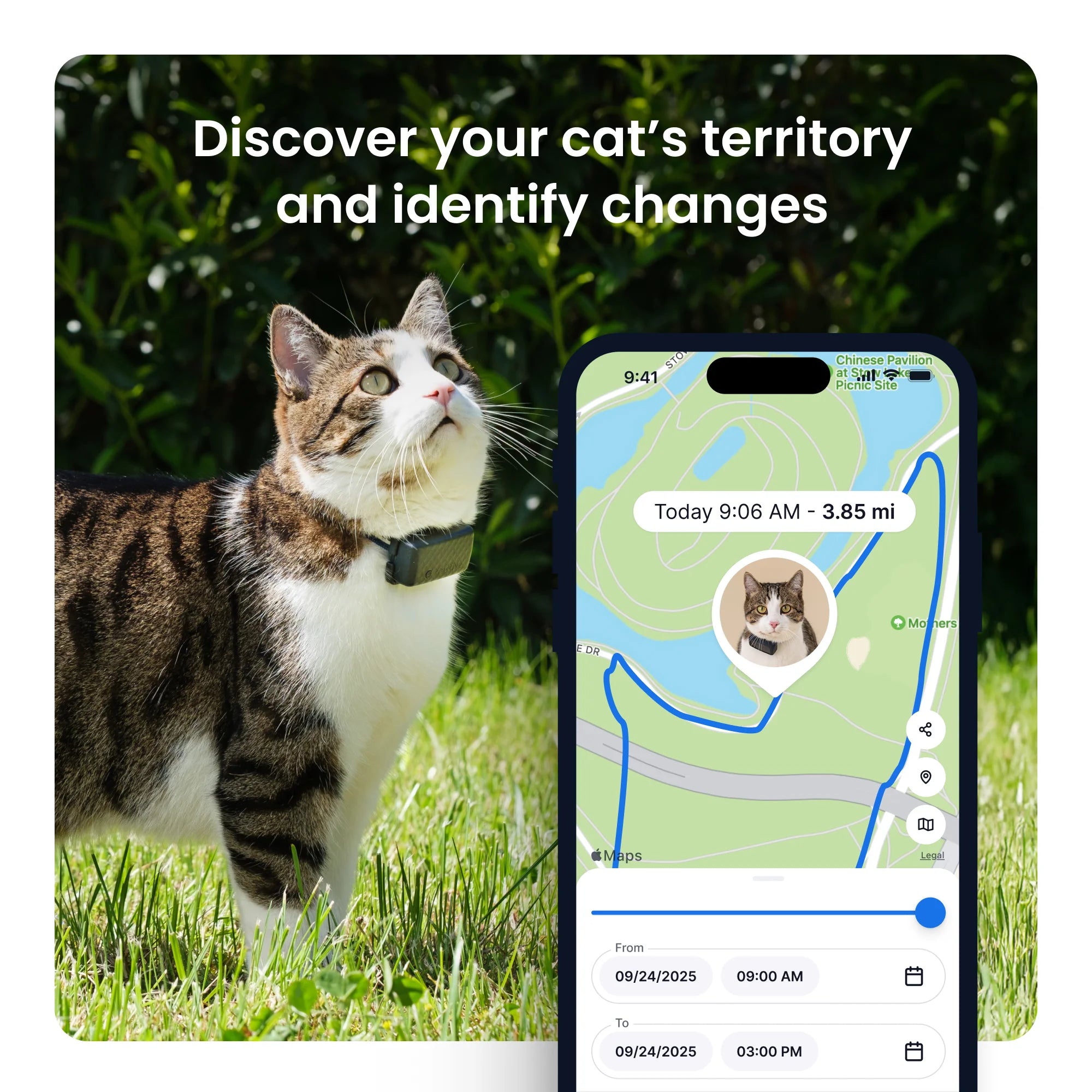 Cat Mini GPS Tracker with Activity Monitoring, Fits Any Collar (Dark Blue)