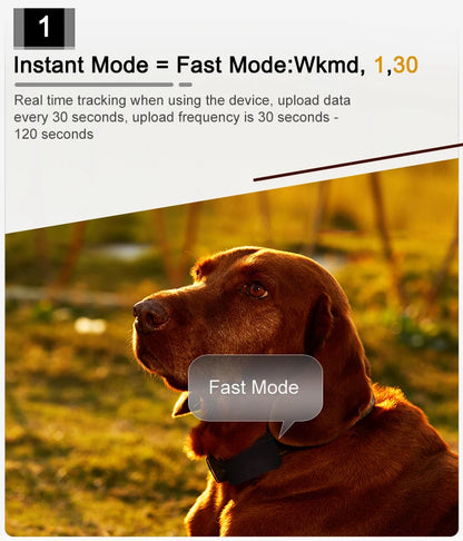 2G 4G Mini GPS Tracker Car pet Kids Valuables Voice Monitor move Vibration SMS call alarm Locator Tracking 1200mA free Platform