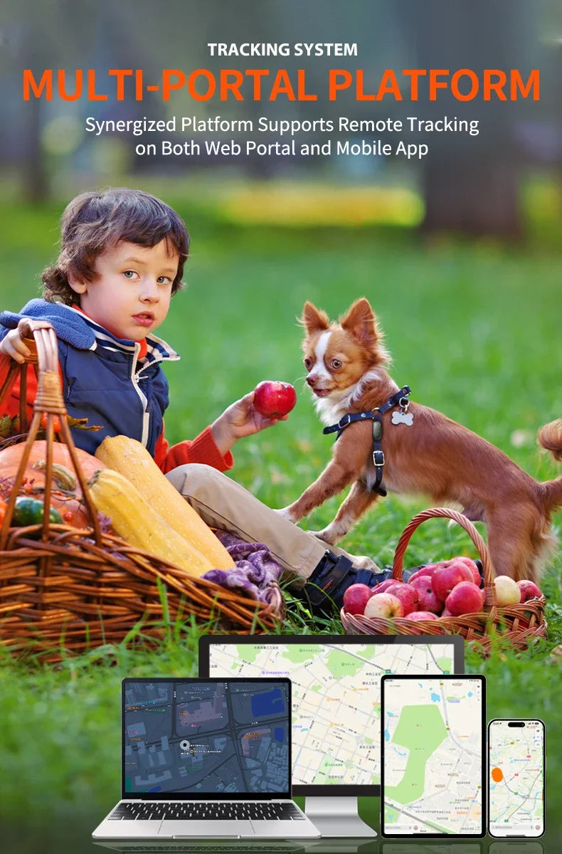 Safe & Smart RF-V53 Tracker 4G Pet Locator GPS Beidou Cat and Dog Positioning Search Anti-lost IP67 Waterproof 900 MAh Battery