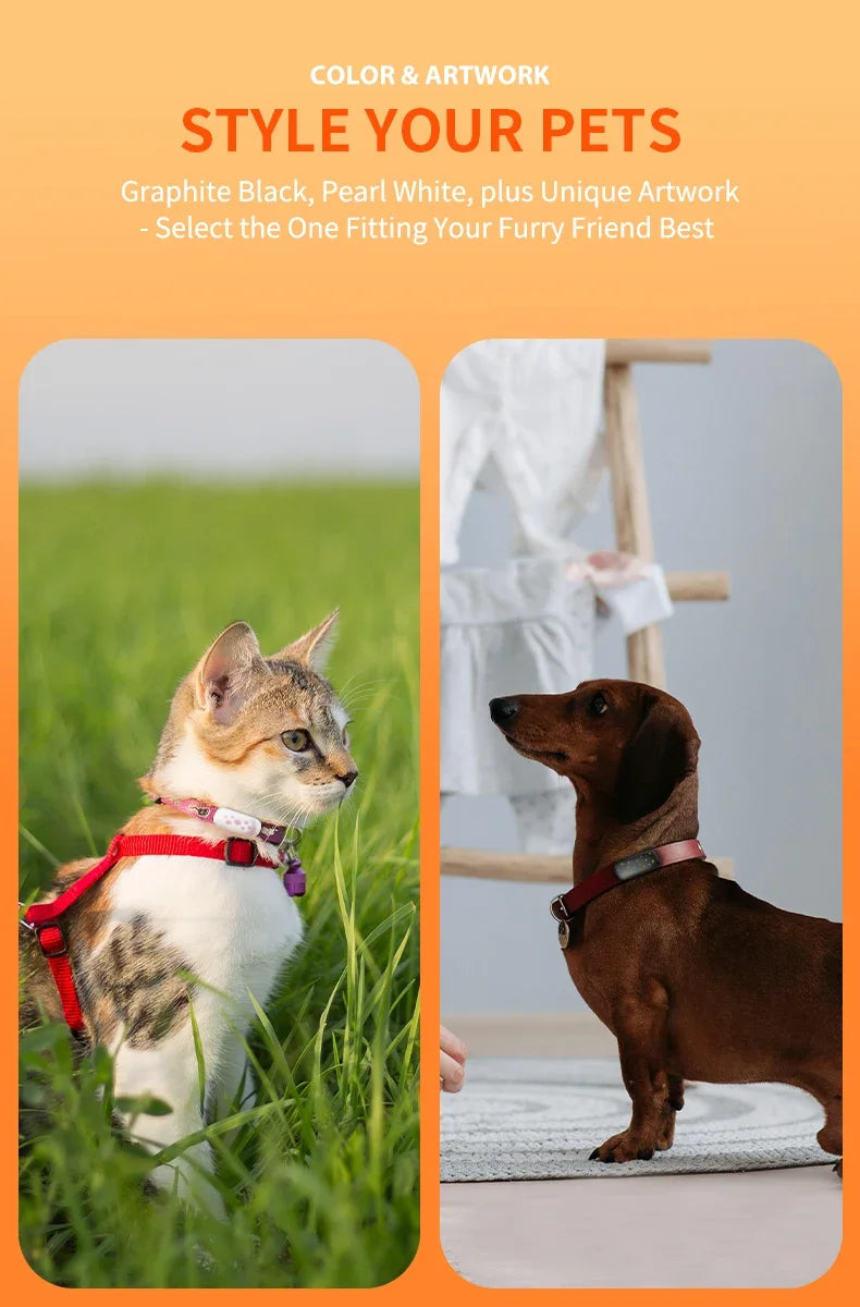 Safe & Smart RF-V53 Tracker 4G Pet Locator GPS Beidou Cat and Dog Positioning Search Anti-lost IP67 Waterproof 900 MAh Battery