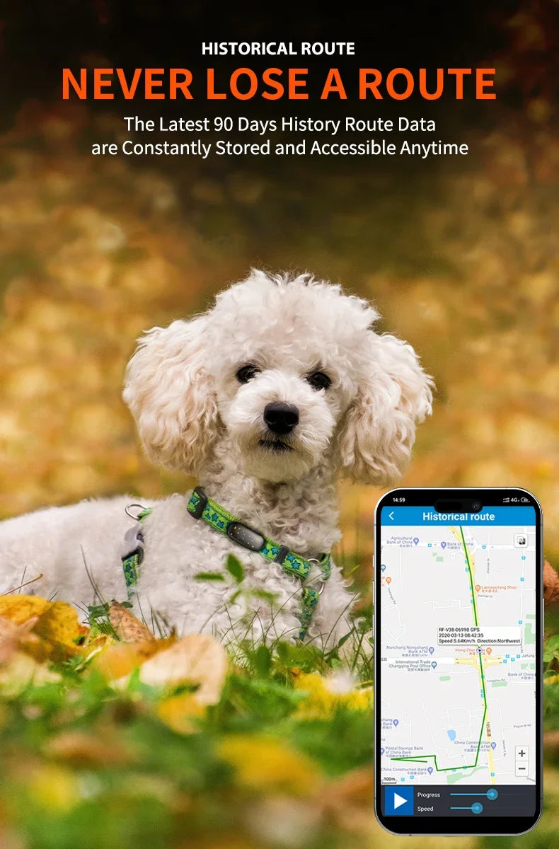 Safe & Smart RF-V53 Tracker 4G Pet Locator GPS Beidou Cat and Dog Positioning Search Anti-lost IP67 Waterproof 900 MAh Battery