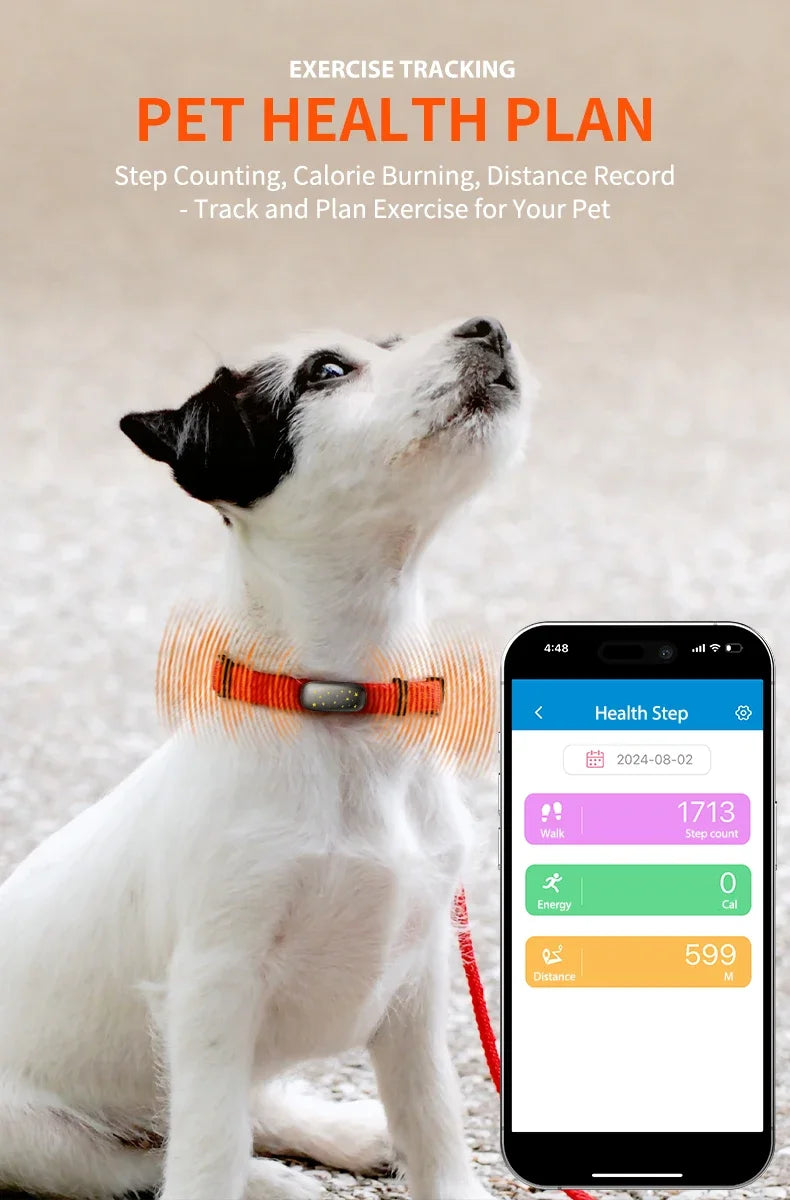 Safe & Smart RF-V53 Tracker 4G Pet Locator GPS Beidou Cat and Dog Positioning Search Anti-lost IP67 Waterproof 900 MAh Battery