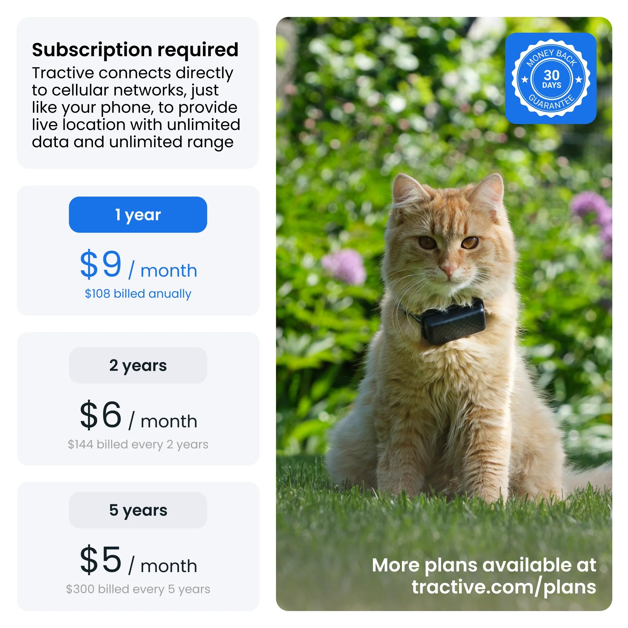 Cat Mini GPS Tracker with Activity Monitoring, Fits Any Collar (Dark Blue)